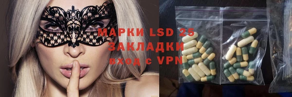 спиды Новозыбков