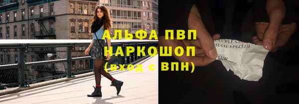 ешки Новодвинск