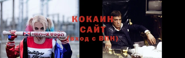 спиды Новозыбков