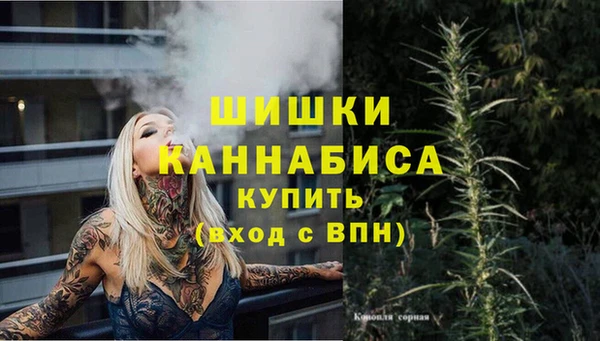 спиды Новозыбков