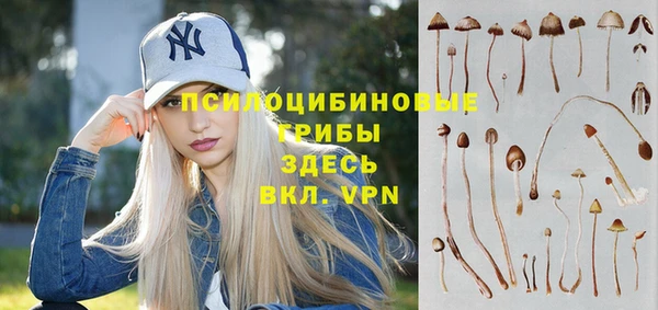 спиды Новозыбков
