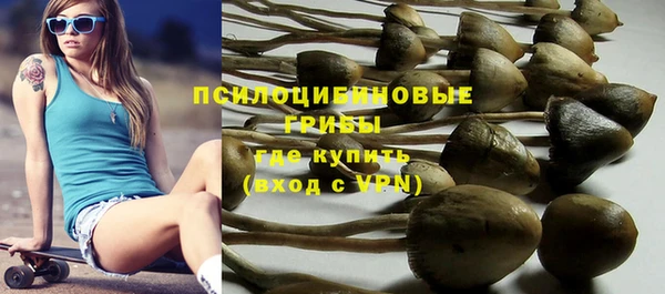 ешки Новодвинск