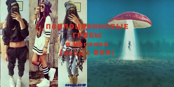 ешки Новодвинск