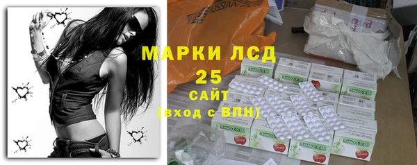 ешки Новодвинск